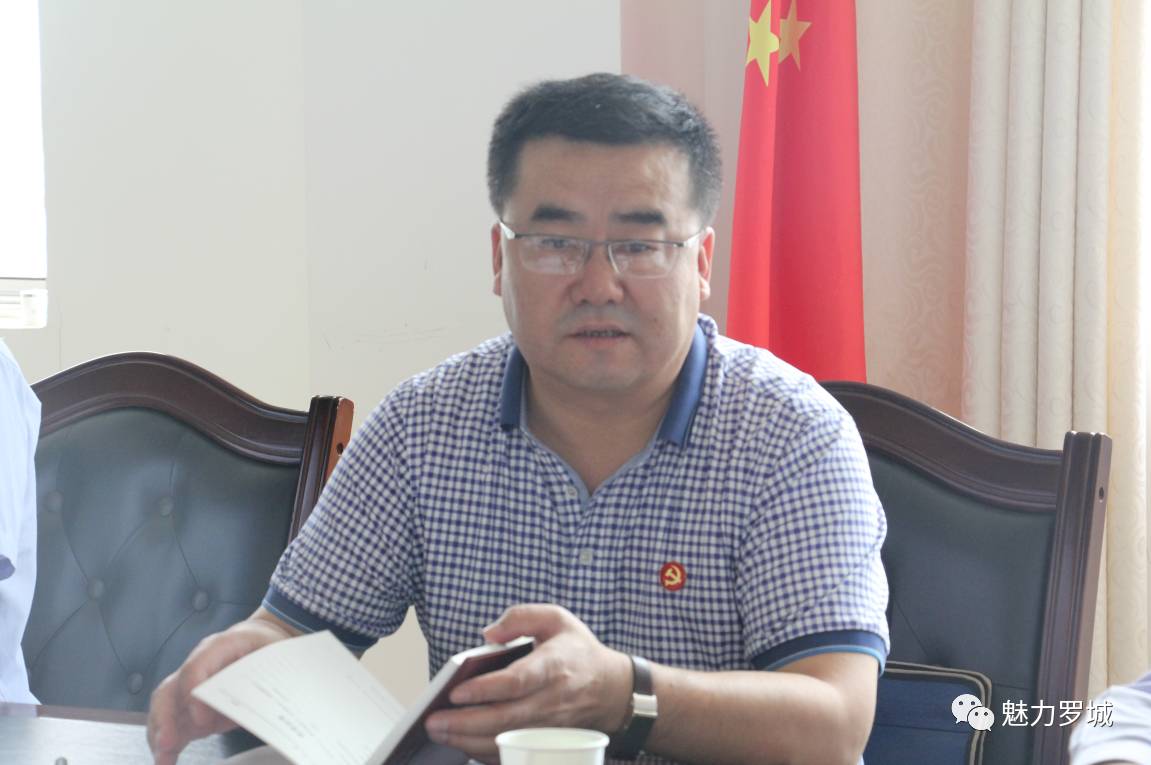 县委书记杨成林深入罗城镇 督查调研党的建设工作