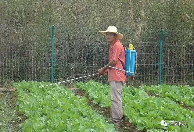 喷农药有门道,这样喷,效果翻一番