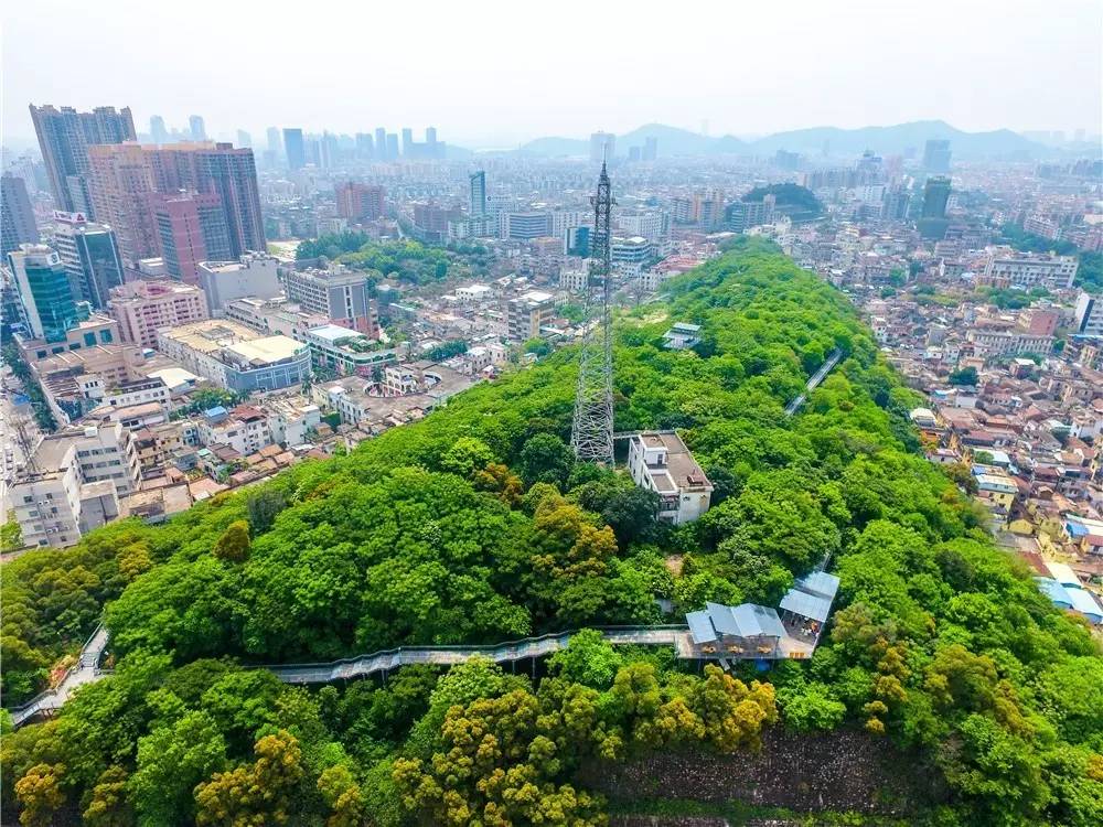 行走佛山清新避暑好去處有空就去華蓋山棧道刷步洗肺