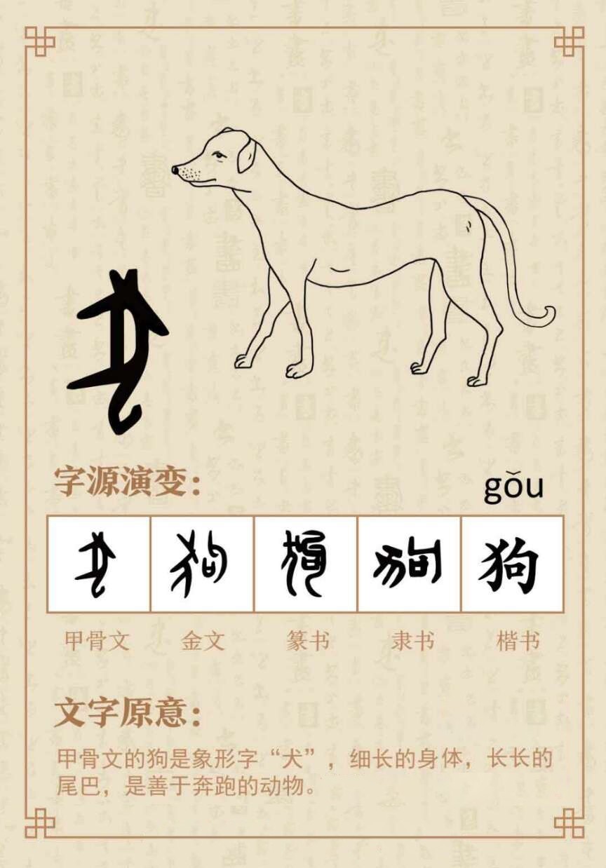 狗的汉字演变图片