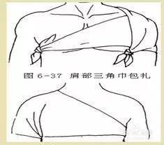 双胸包扎法三角巾图片