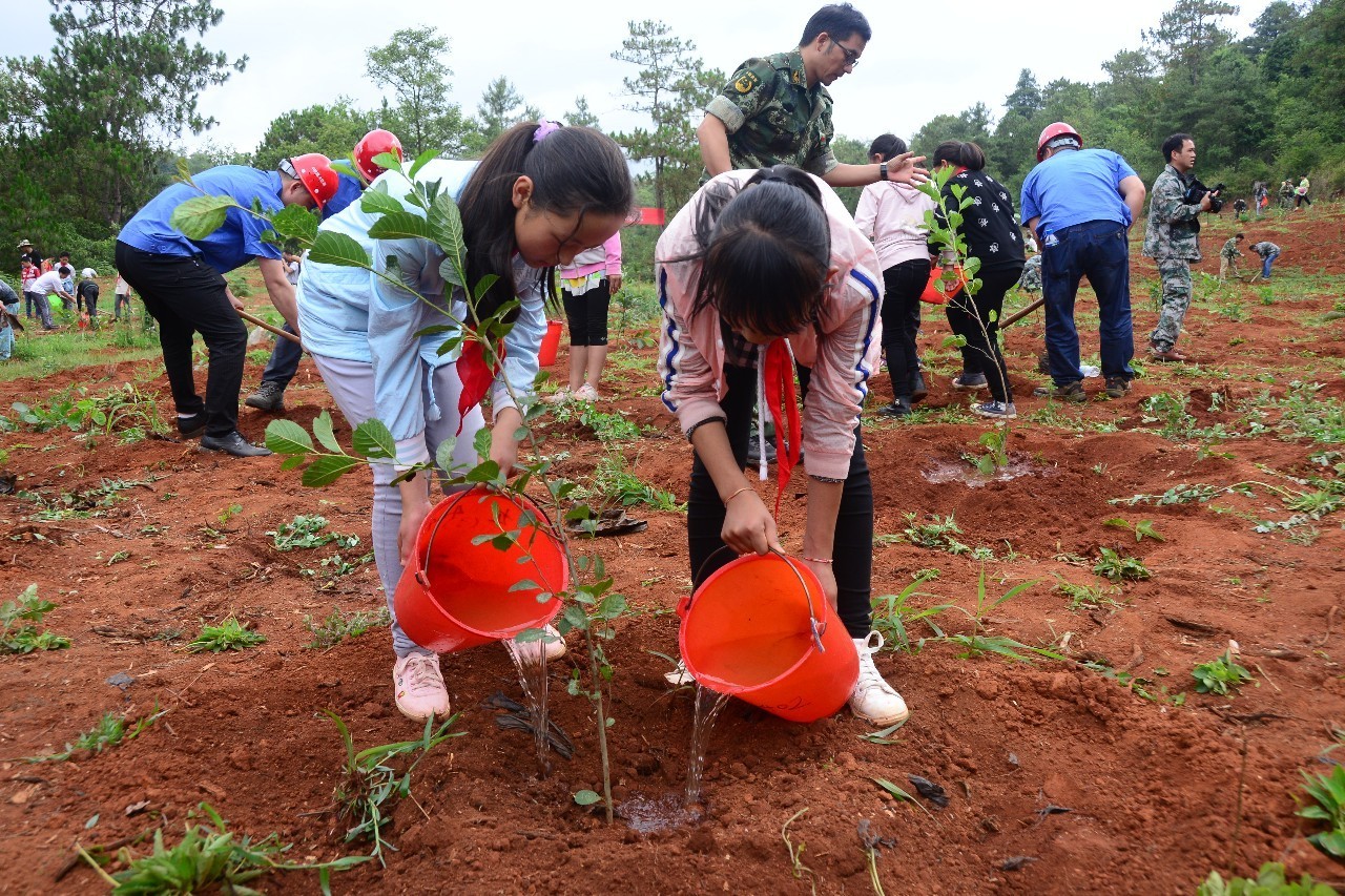 石林林业生态建设及森林资源保护再发力 掀植树造林热潮