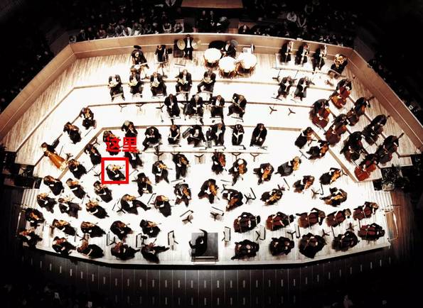 管弦乐团座位图片