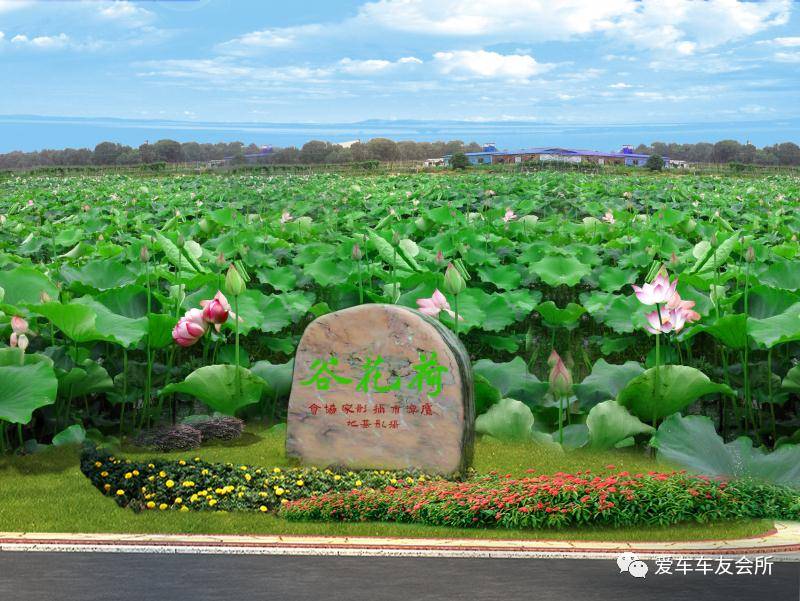 贵溪惊现300亩荷花谷周末集结去看荷花