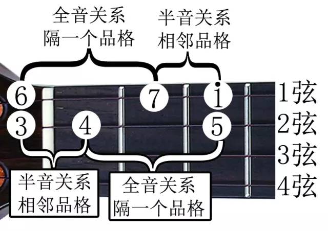 5認識c調音階全音半音關係