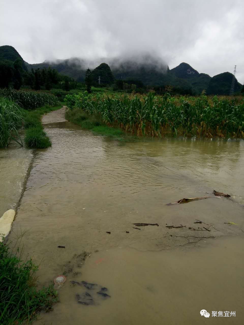 登州发大水图片