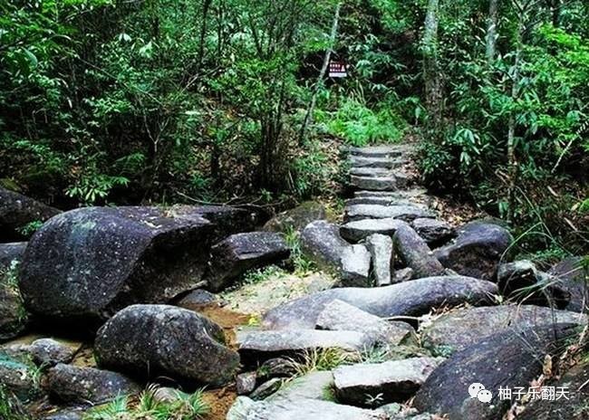 【生態華安】醉美華安貢鴨山&學習廉政文化1日*追尋紅色足跡