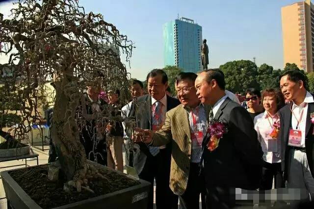 關於蒐集中國盆景現代史資料的通知