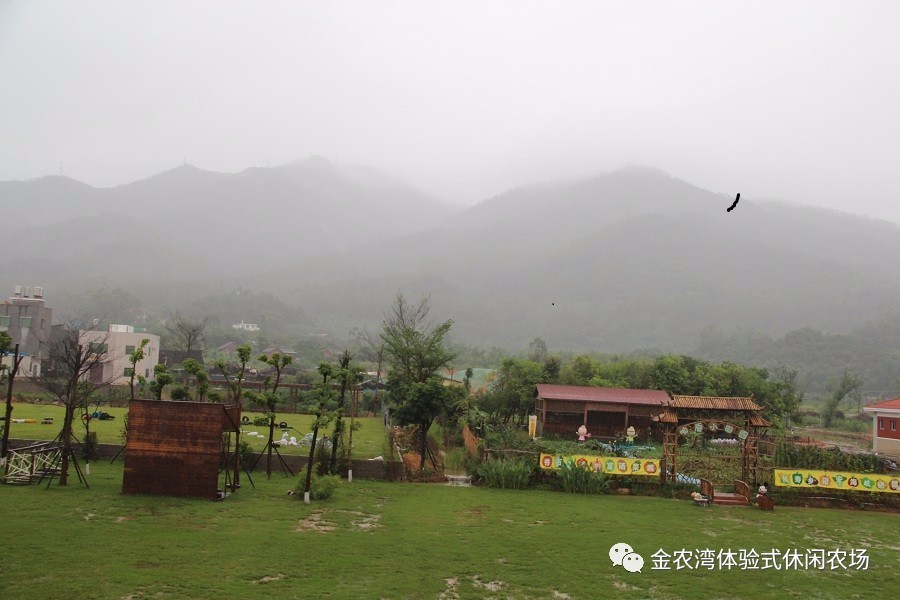 别样的父情节相约在金农湾体验式休闲农场