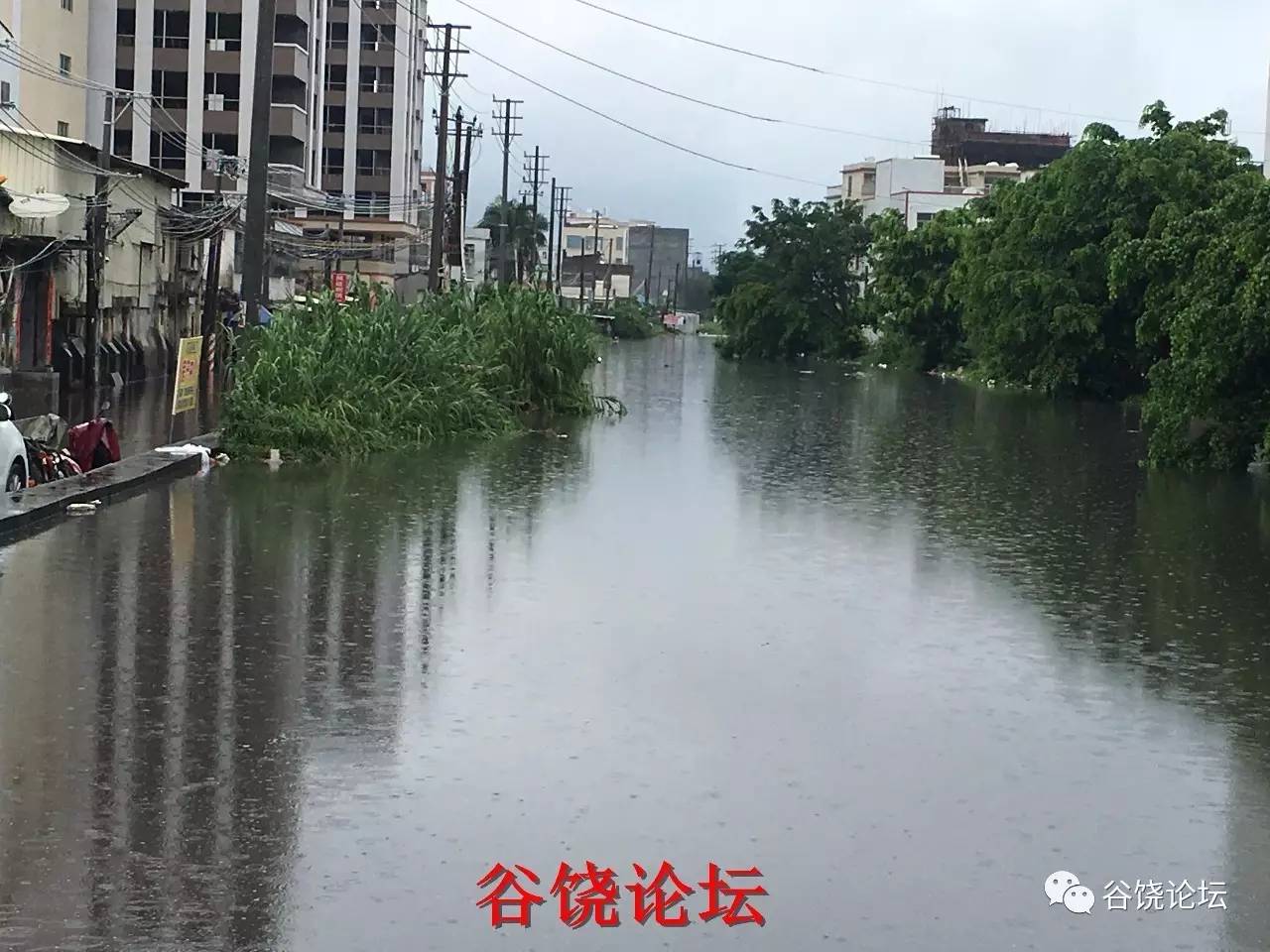 潮陽區谷饒鎮水情直播水災嚴重