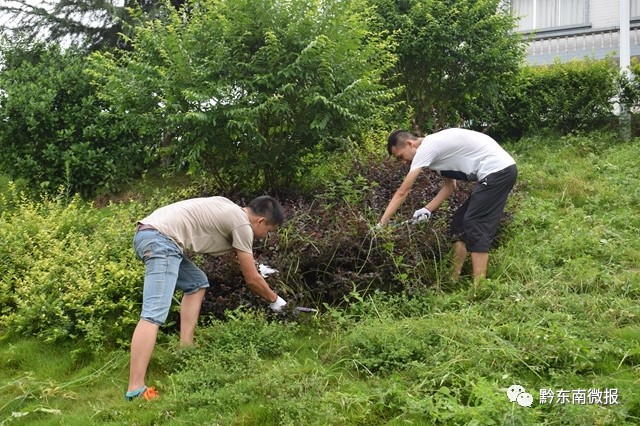 岑巩清洁风暴动真格全国卫生乡镇书记带头上街扫垃圾