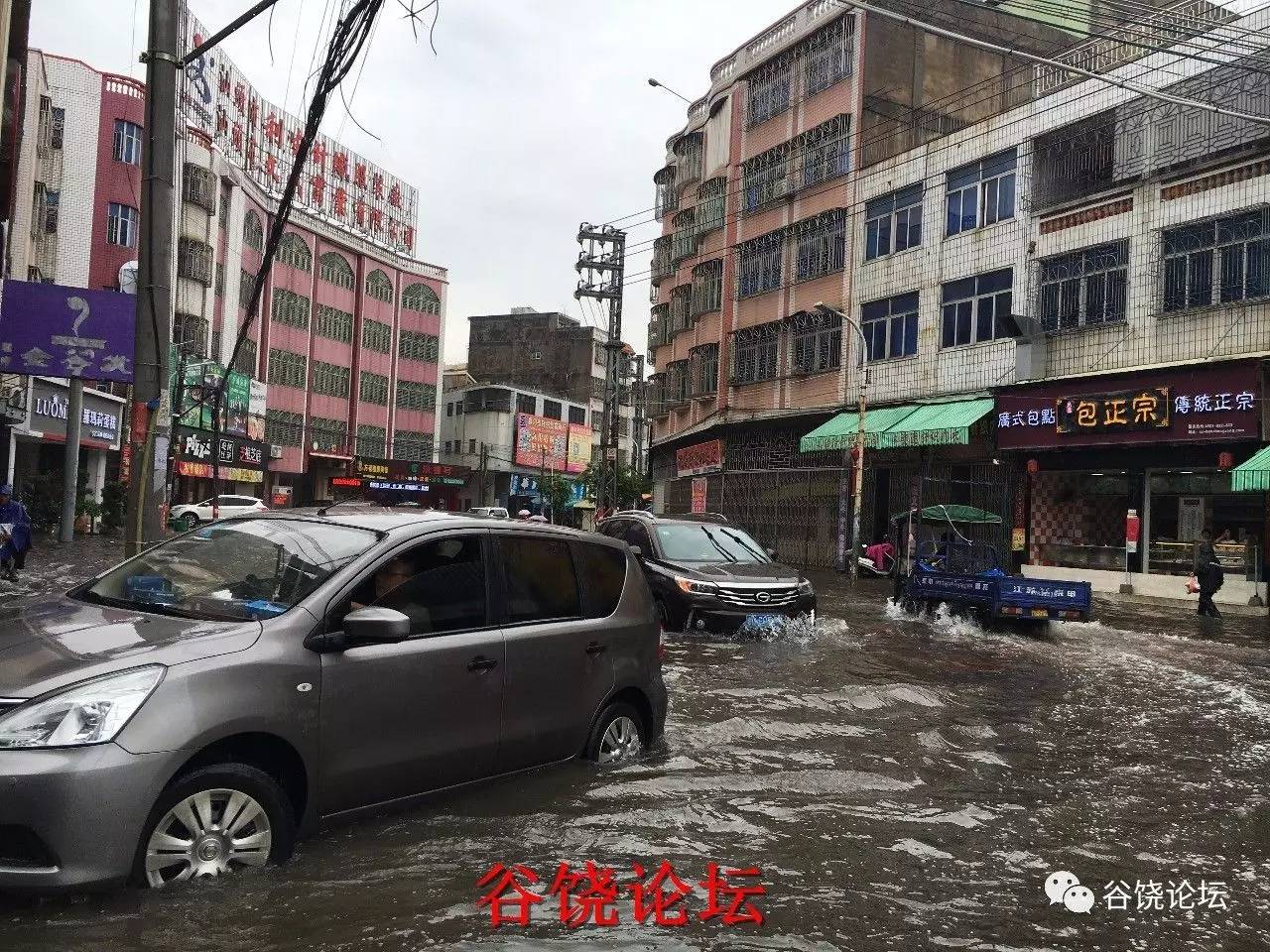 潮阳区谷饶镇水情直播水灾严重