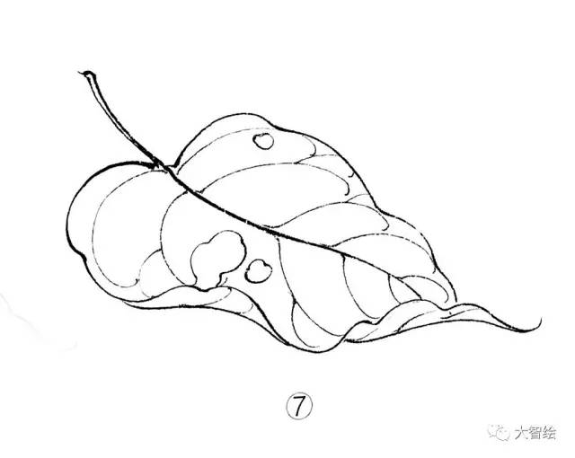 21天线描训练营花鸟线描图谱