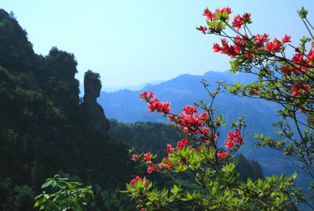 峰和重慶市東部最高山峰有