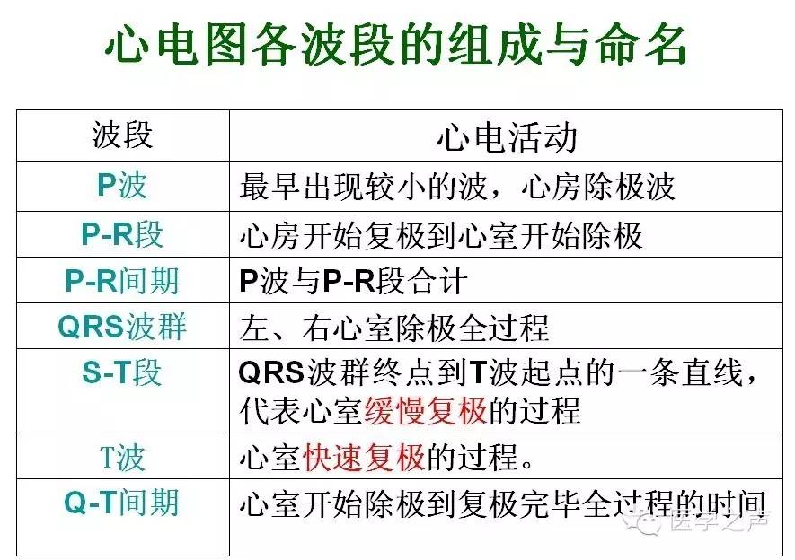 【精編】這樣看心電圖,沒有理由學不會!