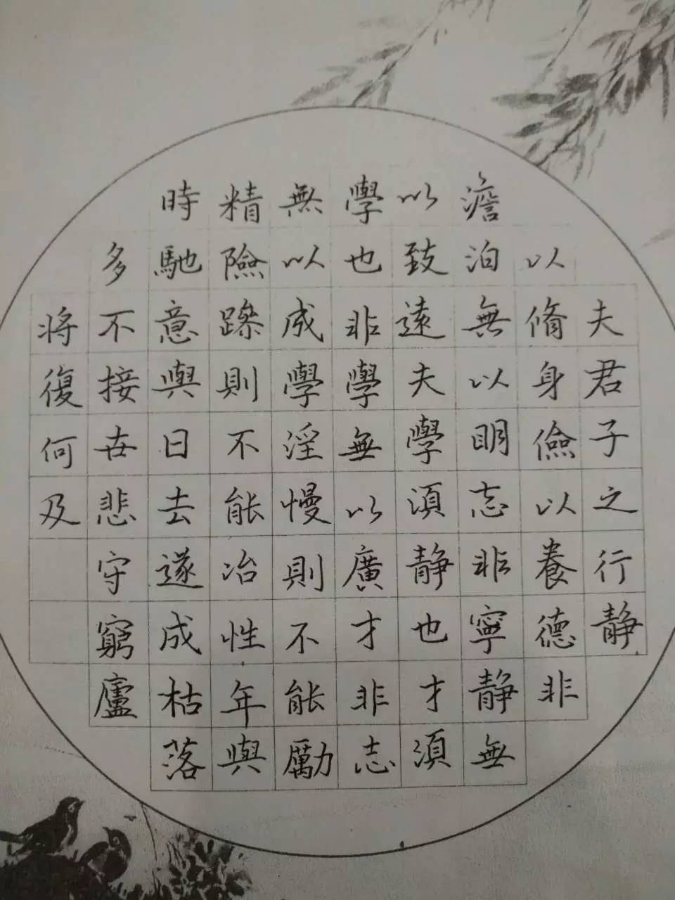 這裡有一封邀請函給你家那位寫得一手好字的小夥子小丫頭