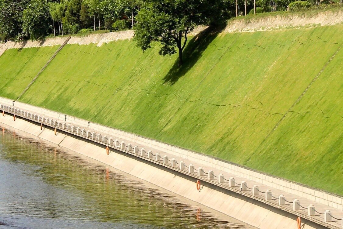 護城河護坡景觀增綠提升項目,在增綠同時注重景觀效果的營造,提高常