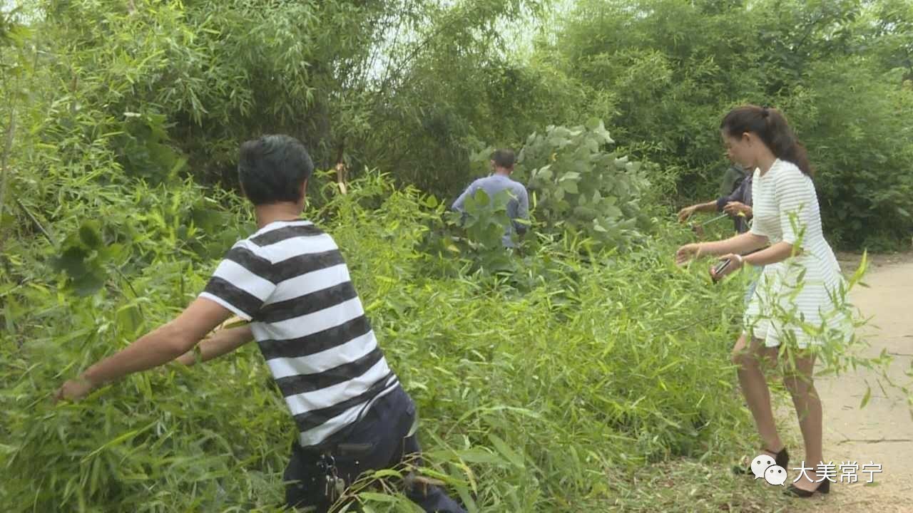 近日,荫田镇上浯村廖珅志,段小花夫妻俩自掏腰包请来专业工人,清理