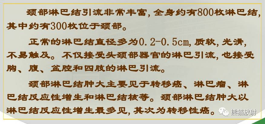 解剖頸部淋巴結分區精選資源