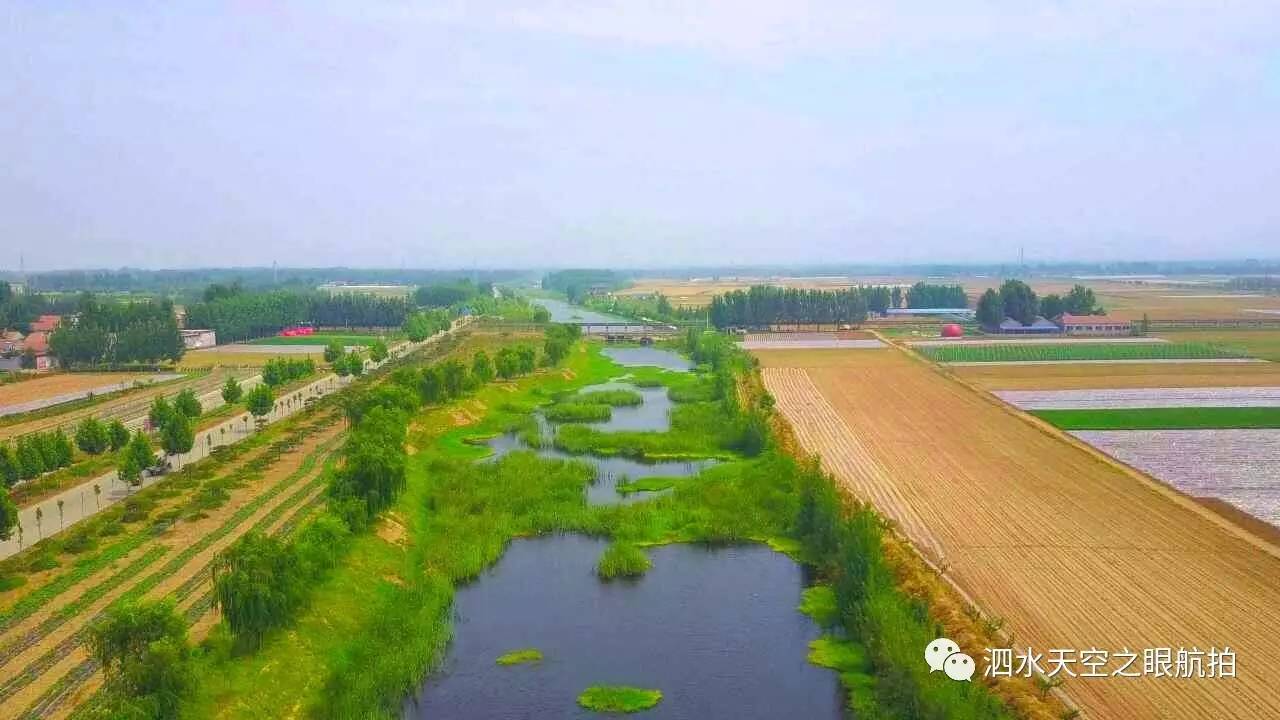 全程航拍泗水楊柳鎮,我可愛的家鄉,社區建設,生態金線河