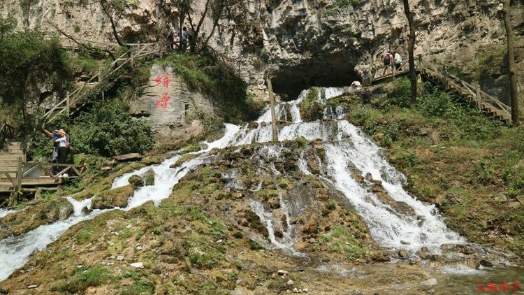 蟒河生态旅游区门票图片