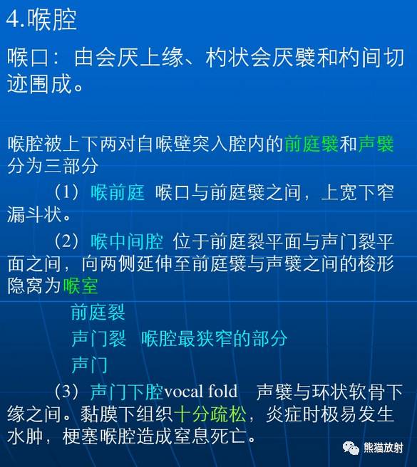 喉部解剖大體及斷層看完這些很難再糊塗了