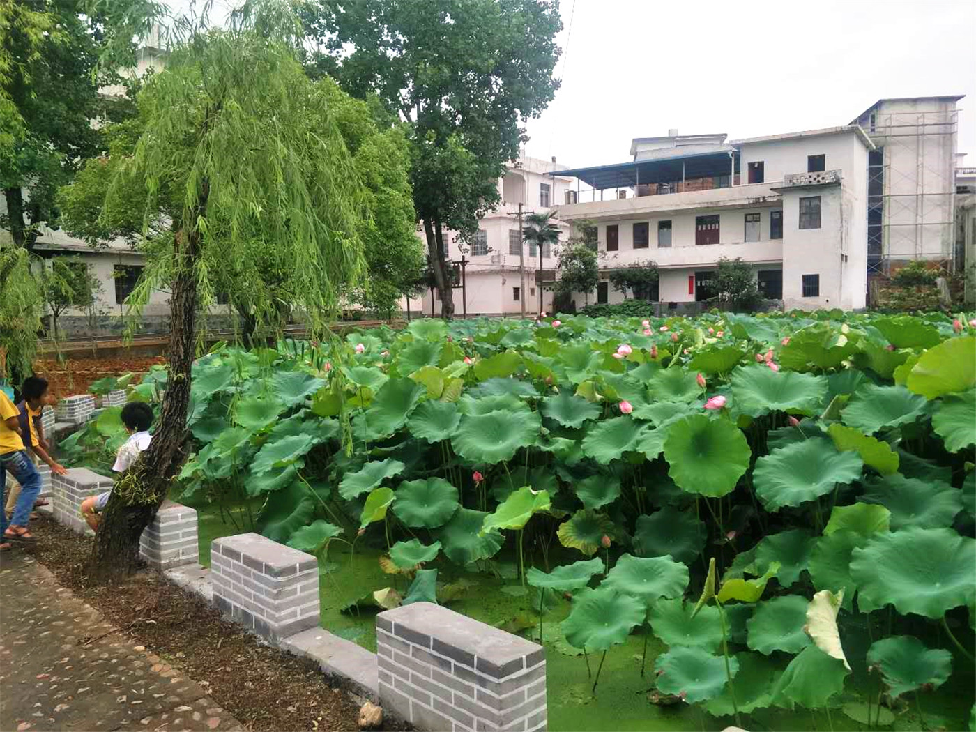 于都梓山镇潭头旅游图片