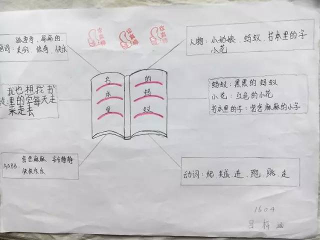 吊兰的思维导图怎么画图片