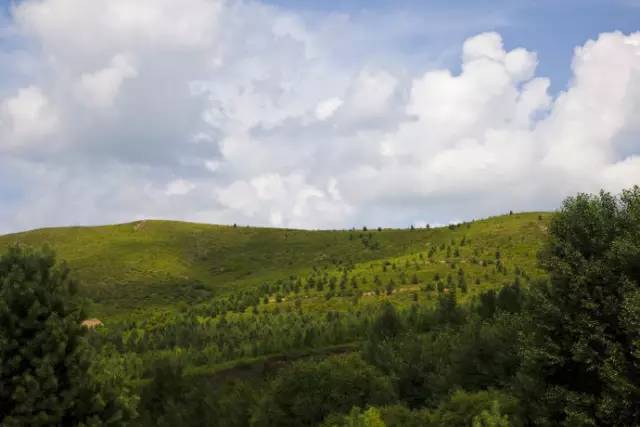 搶先看齊齊哈爾碾子山2017中國最美山地馬拉松賽別樣風景