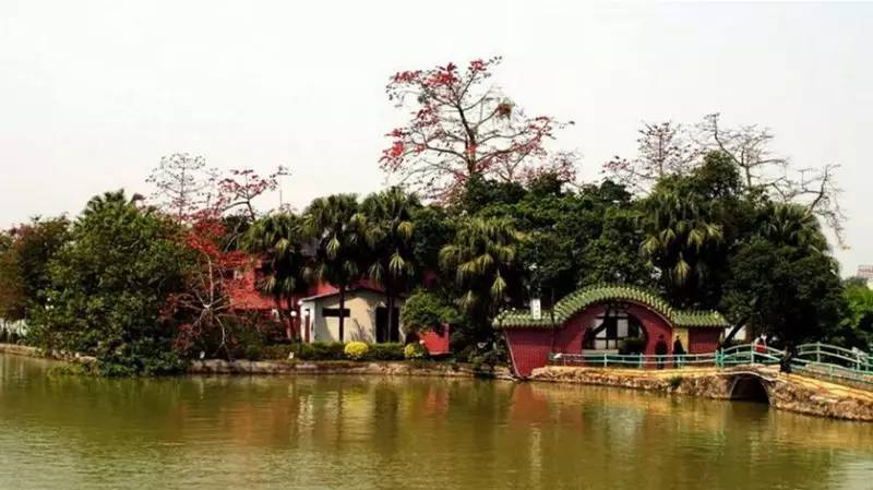 惠州西湖红棉春醉图片