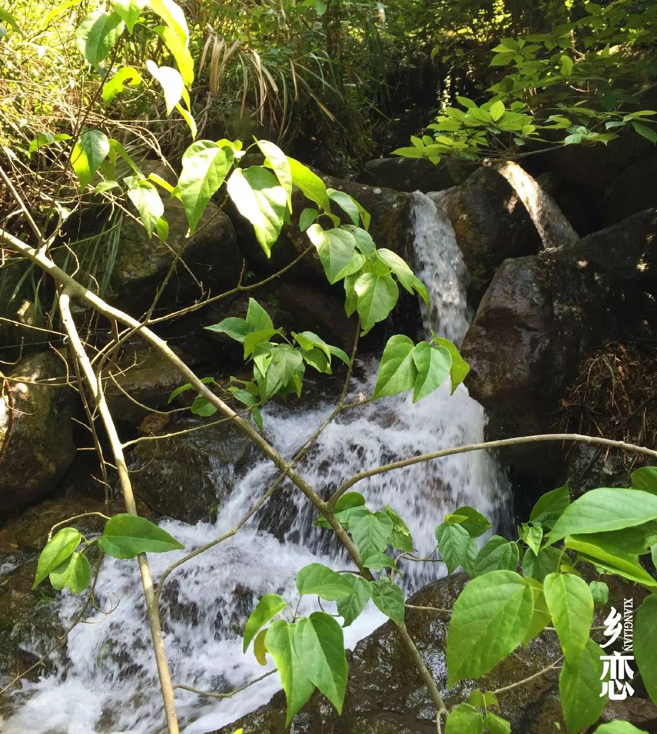 跟我走吧⑥流水潺潺一步一景大嵩嶺古道的魅力等你去探尋