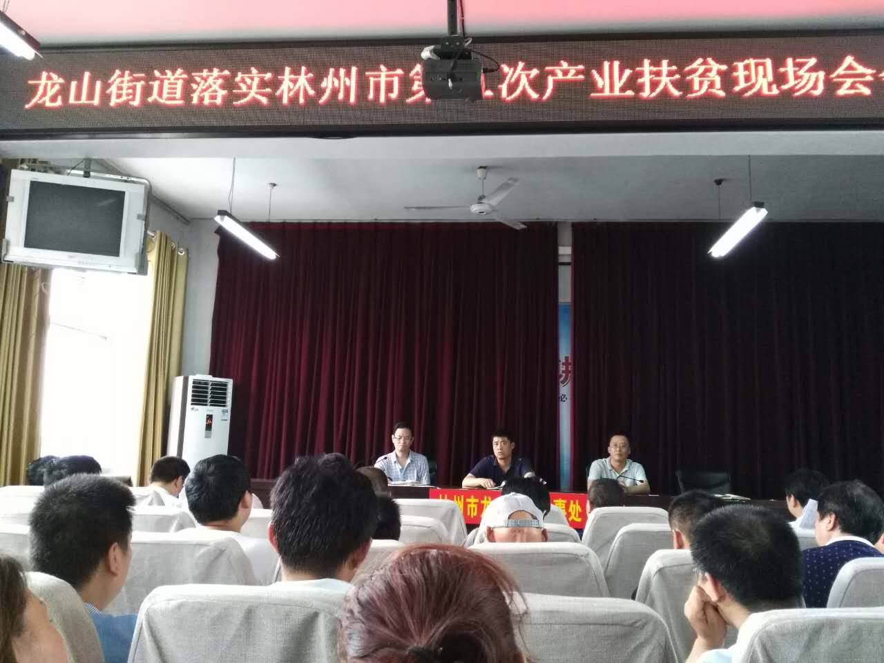 龙山街道贯彻落实林州市第二次产业扶贫现场会精神