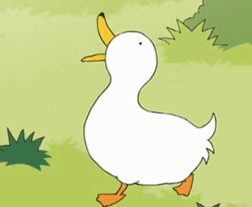 小鸭子卡通动态图图片