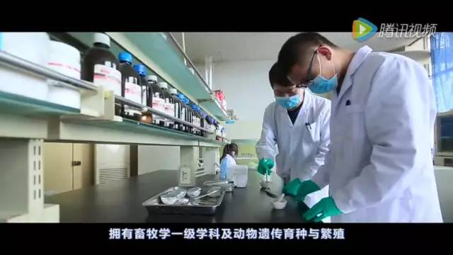 授予学位:农学学士六,修业年限:3 6年五,主要课程:动物生物化学