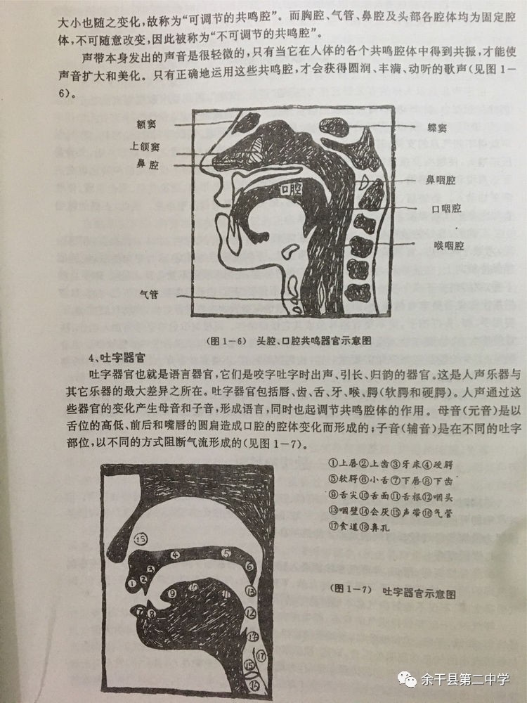 单招艺考声乐自己找伴奏吗_艺考学声乐_女生艺考声乐曲目