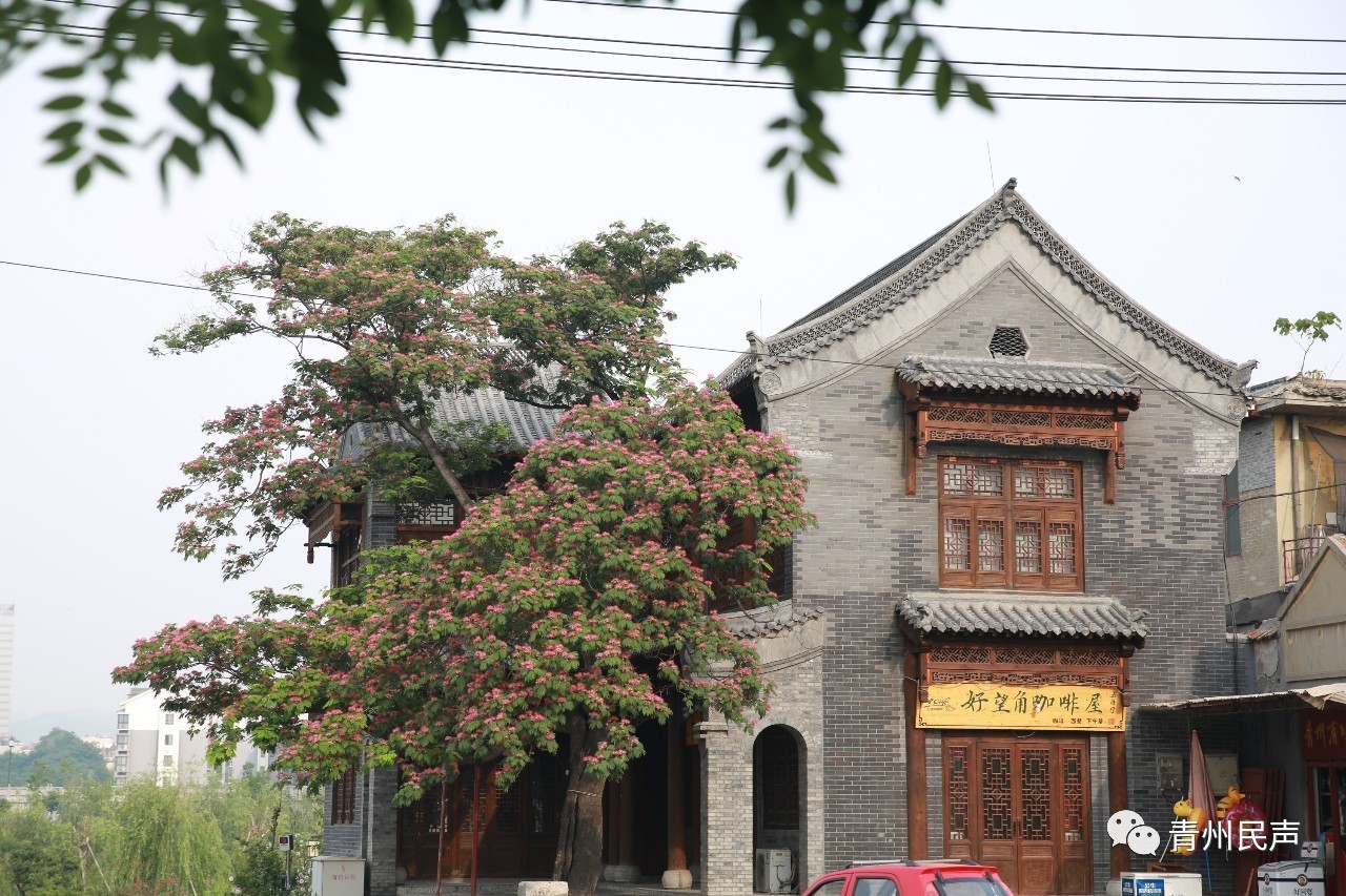 合歡樹:合歡樹,別名:芙蓉樹,夜門關,刺柺棒,坎柺棒子,一百針,老虎潦