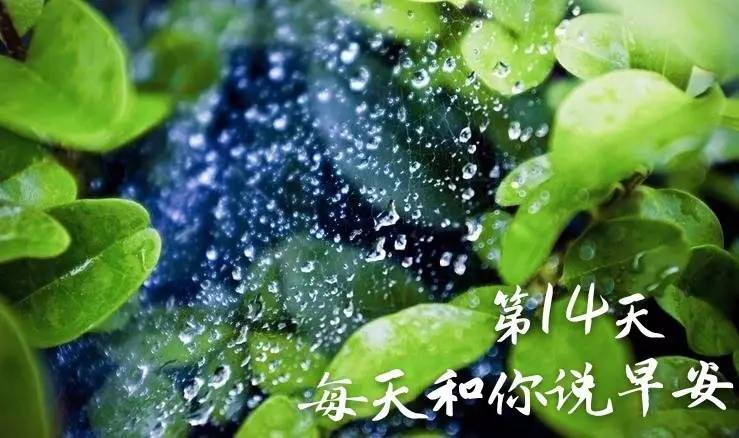 雨天一样是美好的