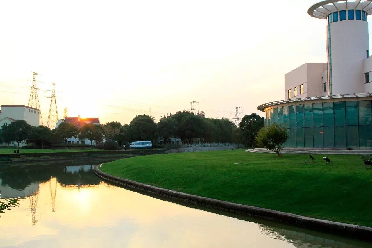 上海海关学院校园全景图片