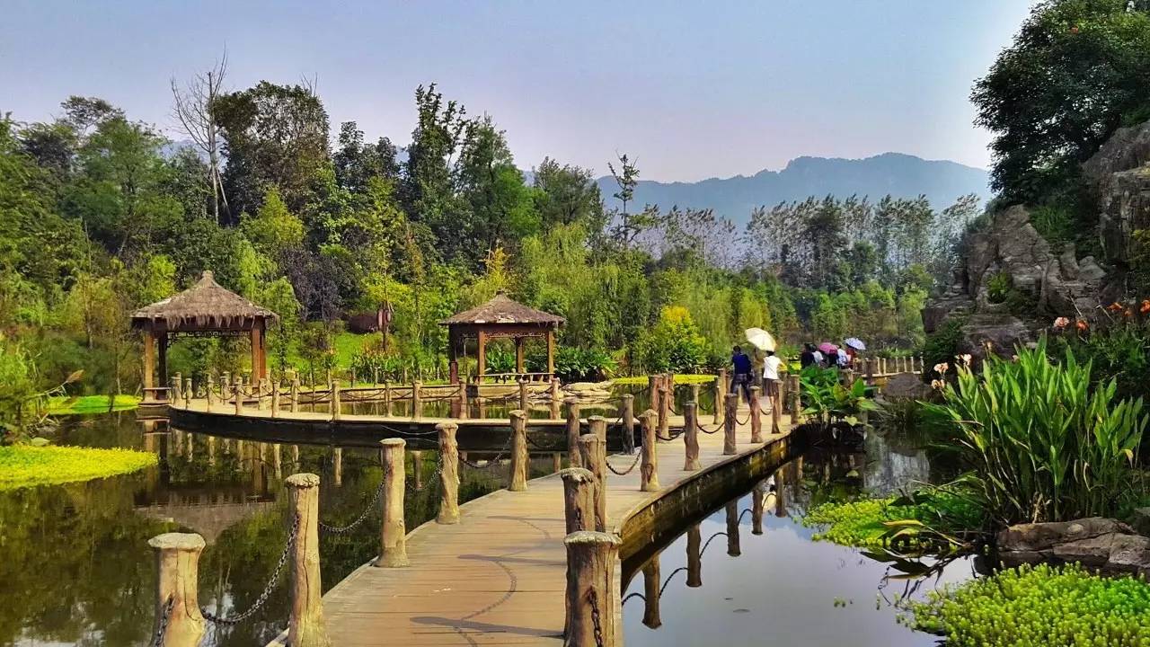 青龍湖溼地公園:去璧山玩,怎麼能少的了去一趟青龍湖溼地公園呢!