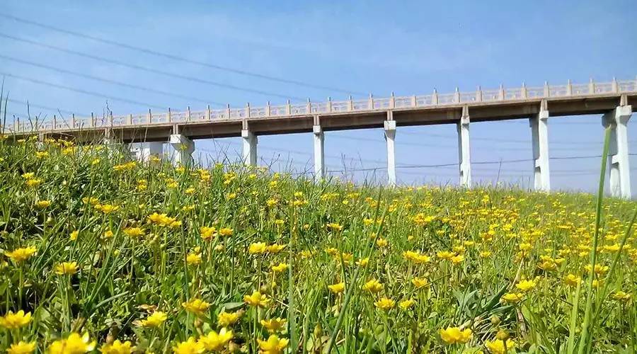 山阴湿地公园八张罗庄村北大坝风景区照片