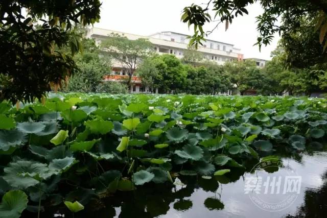 平南镇中学图片