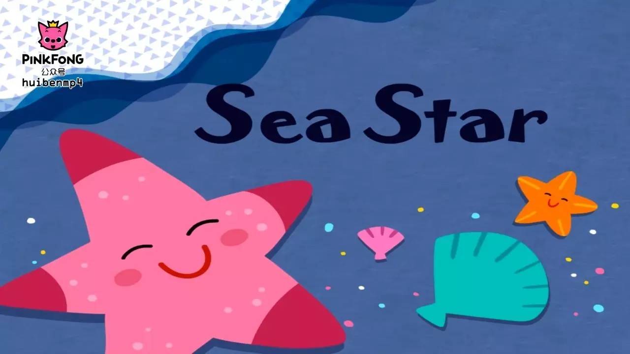 sea horse 海馬sea star 海星請在公眾號回覆:下載需要下載視頻的視頻