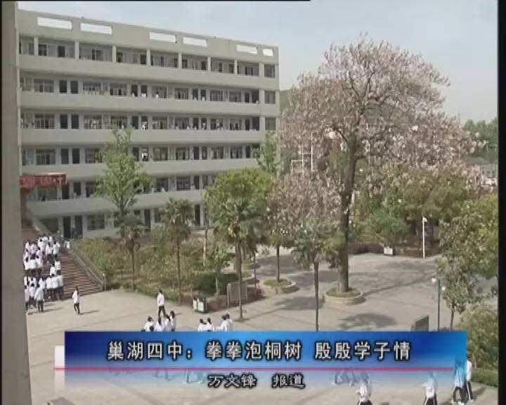 巢湖教育在线巢湖四中拳拳泡桐树殷殷学子情