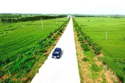 农村路连接千家万户,旅游路延伸千山万水,产业路遍布万村千乡,特色路