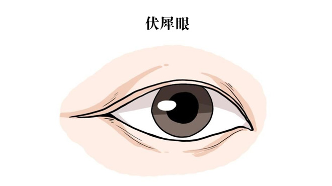 伏犀眼伏犀眼属于非常高贵的眼型之一,其主要特征是眼睛大而浑圆,瞳孔