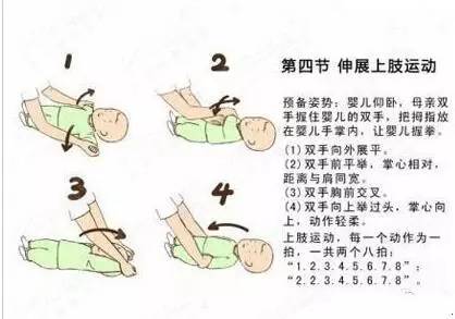 伸展上肢运动4肩关节运动3伸屈肘关节2两手胸前交叉1锻炼宝宝的体格