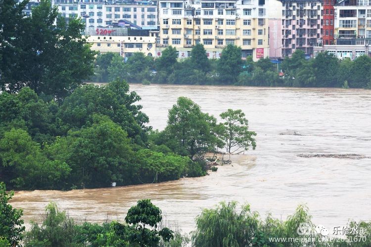 咆哮的修河624特大洪水纪实图片选