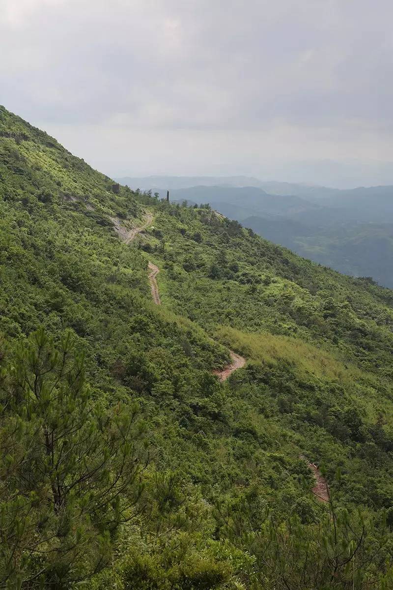 行走的摄影距离世界矾都8公里的大岗山惊现连绵数公里的老矿硐