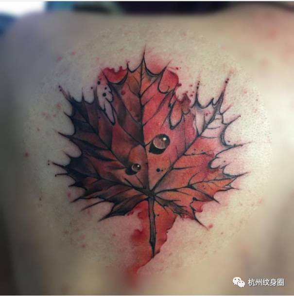 tattoo紋身素材楓葉