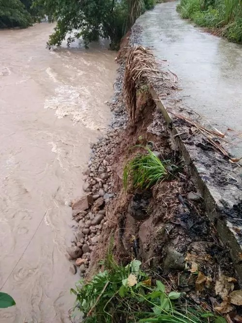 强降雨来袭,小编带你直击防汛一线